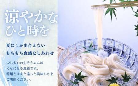2026年6月～発送／生そうめん 12食 ストレートつゆ付 季節限定 手作り 麺 冷凍 黄金製麺所 C0532 岩手県 北上市