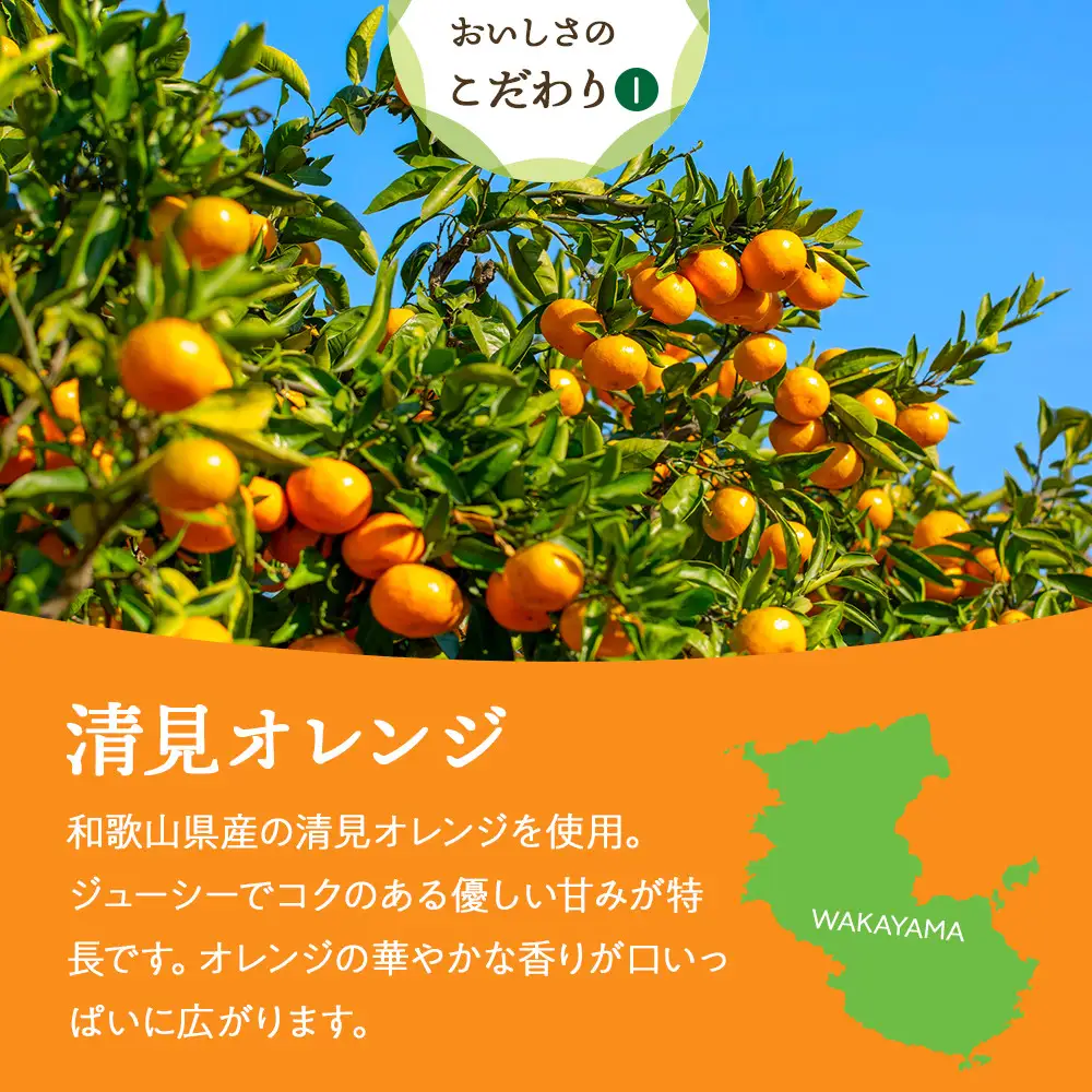 和歌山県産 ドライフルーツ 清見オレンジ 20g×6袋