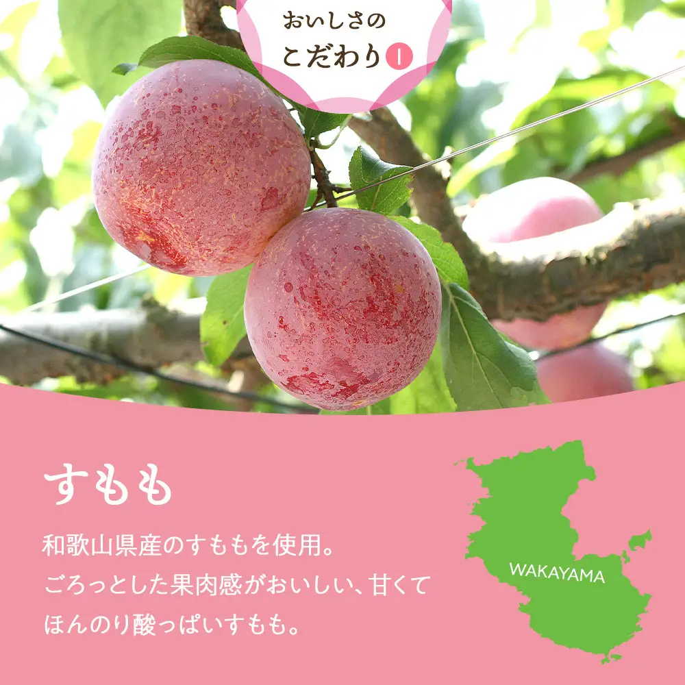 和歌山県産 ドライフルーツ すもも 20g×6袋