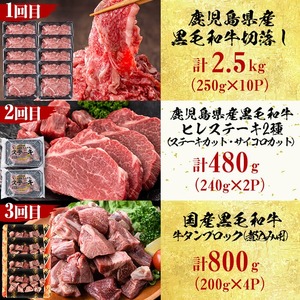 【定期便・全12回】＜A5等級＞鹿児島県産黒毛和牛＆国産牛タン プレミアム！牛肉満喫コース＜計12kg超＞ 定期便 牛肉 肉 1年 12回 12ヶ月 お楽しみ バラエティ 小分け 牛たん すき焼き しゃぶしゃぶ ステーキ 焼肉 セット 頒布会 t026-001