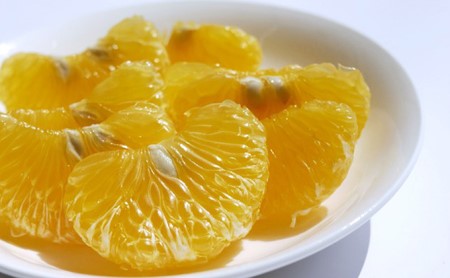 甘夏 5kg 甘夏 吉田農園