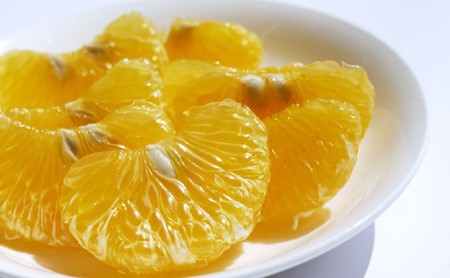 甘夏 10kg 甘夏 吉田農園