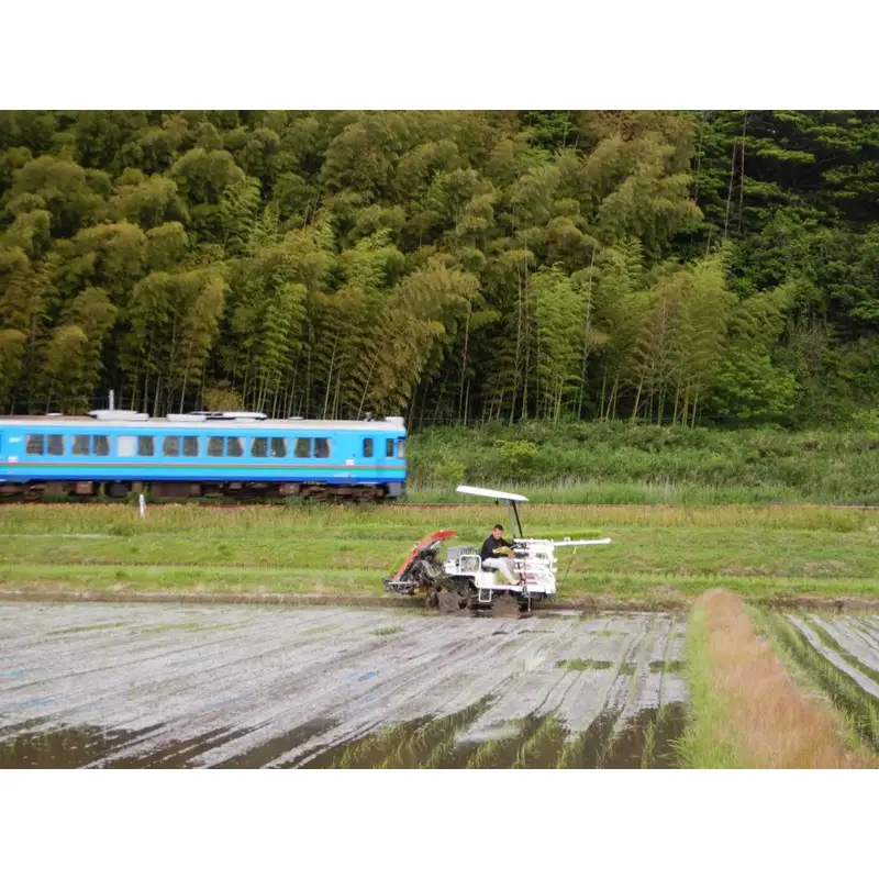 京都・網野郷産 特別栽培米コシヒカリ 精米10kg（2026年10月上旬～発送）特別栽培米 こしひかり 精米 ふるさと納税 米 ふるさと納税 コシヒカリ 白米 新米 令和8年産 生産者応援 農家応援 送料無料