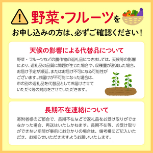 【先行予約】みかん 2026年12月下旬より順次発送 青島みかん 約10kg S〜2L