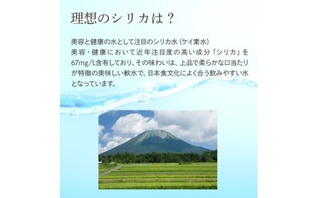 理想のシリカ 500ml × 48本