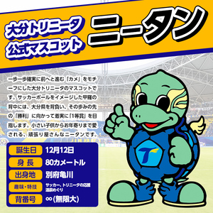 大分トリニータ 公式マスコットぬいぐるみ メガニータン (1個) Jリーグ サッカー trinita にーたん グッズ【116300800】【大分フットボールクラブ】