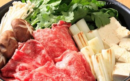 神戸牛赤身スライス 500g 冷凍 国産 もも 肩 しゃぶ 72-05