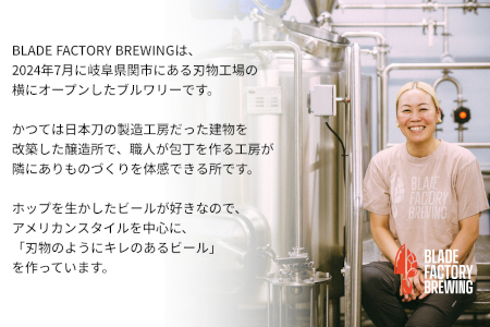 クラフトビール 定番3種×2本 ( ラガー IPA ヘイジーIPA ) 360ml 計6本