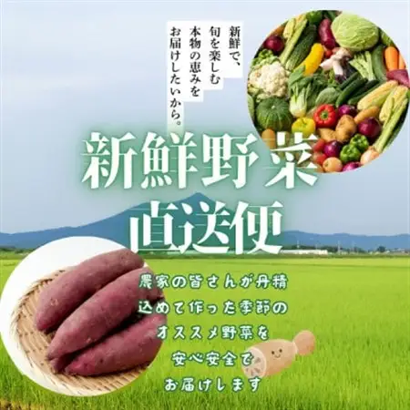 かすみがうら市産 旬の野菜おまかせセット 7～9種(2～3名様分)_野菜   _【配送不可地域：離島】【1604066】