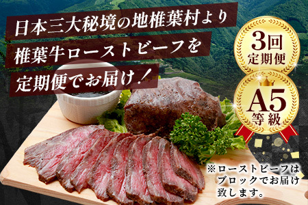 牛肉 【定期便】3回定期便 宮崎県産 椎葉牛 ローストビーフブロック 200g（100g×2P）ローストビーフ 牛肉 定期便 肉 TK-103