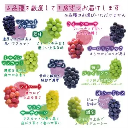 岡山　花笑み農園のブドウ『食べ比べ6種セット』6M-5【配送不可地域：離島・北海道・沖縄県】【1596449】