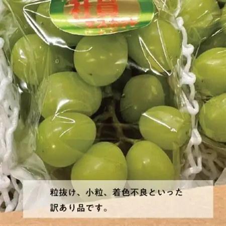 【訳あり】 シャインマスカット ご家庭用/約2.0kg～ (岡山県産) 訳ありでも濃い甘さ!【配送不可地域：離島】【1602687】