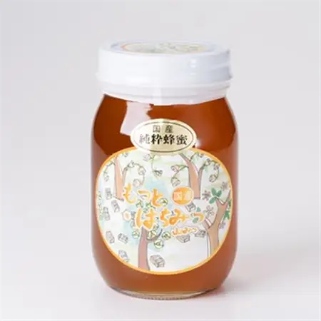 津山市産 山蜂蜜　600g【1605221】