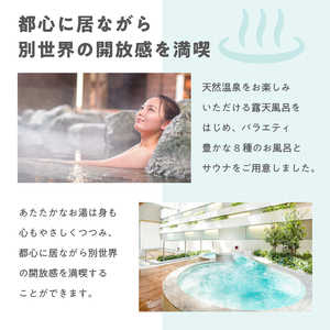 泉天空の湯 有明ガーデン　全日入館券 【kt014-002-2】 天然温泉 ｻｳﾅ お風呂 入館券 ﾁｹｯﾄ 旅行