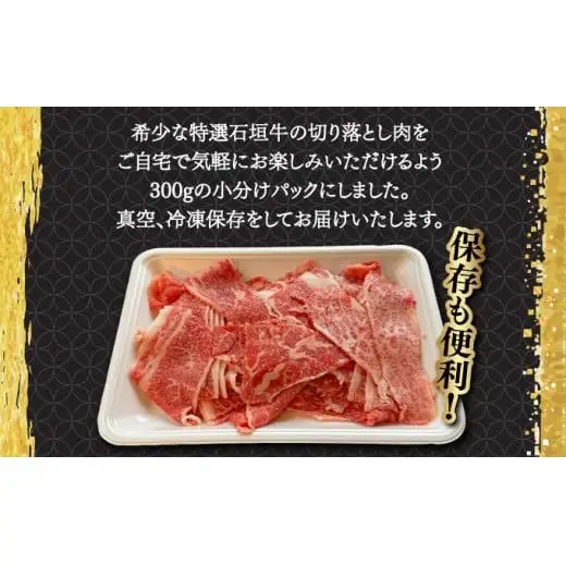 切り落としスライス300g　 IM-34