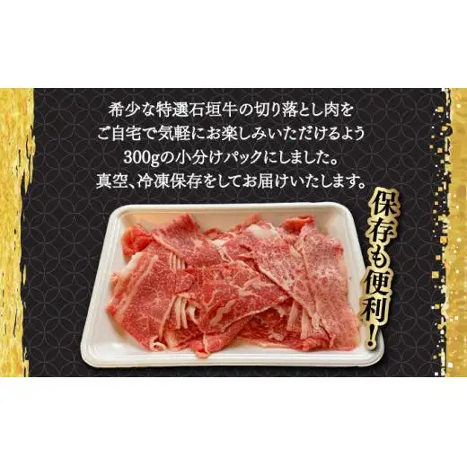 切り落としスライス300g×3パック 　 IM-36