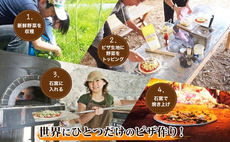 【2026年】北海道 オーガニック 野菜収穫＆ピザ作り 体験 2名様分 ペア チケット 体験型 ツアー 夏休み 野菜 有機野菜 ピザ ハウス 収穫 新鮮 ニセコグリーンファーム 送料無料 体験チケット 