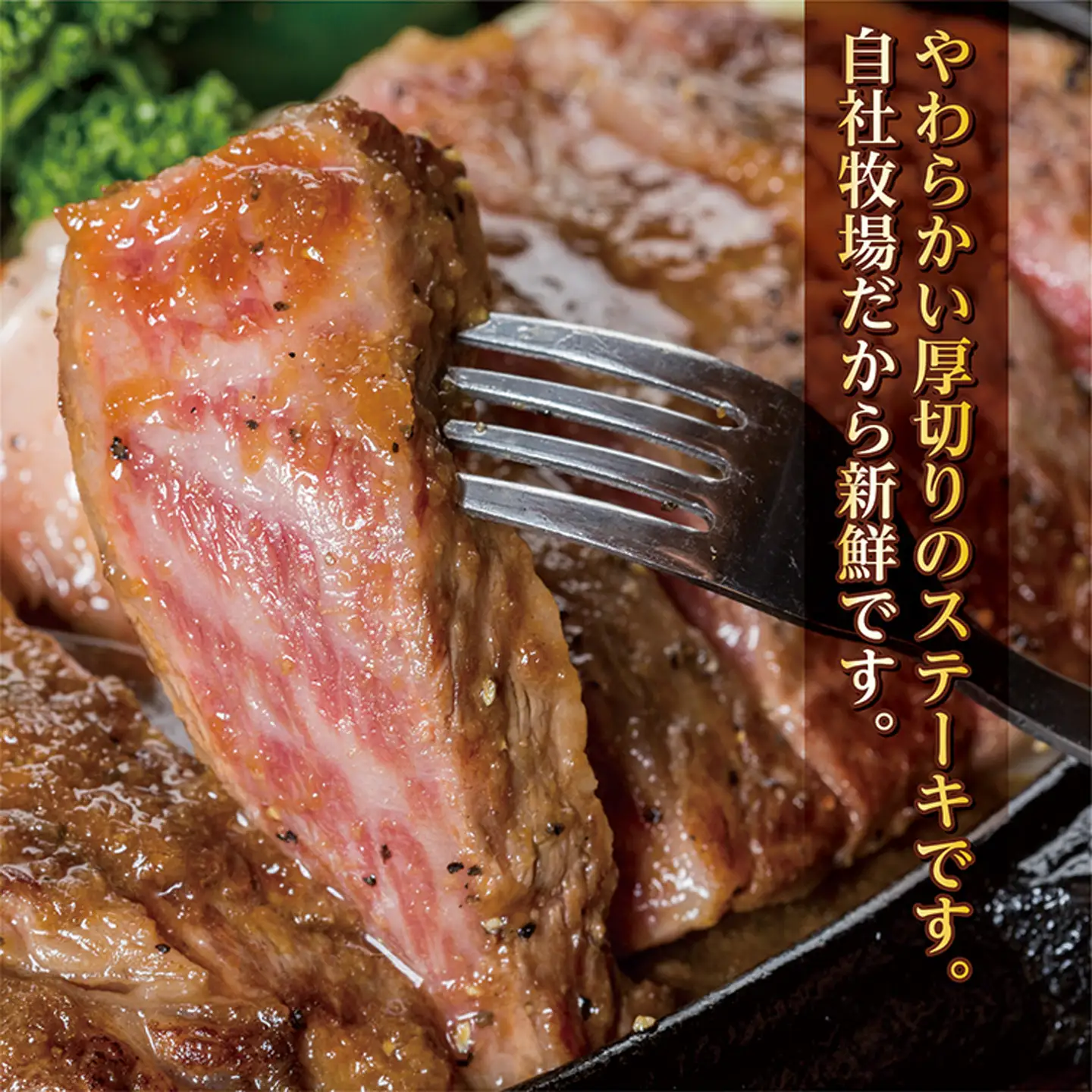 森山牧場 黒毛和牛 ステーキ 250g×2枚 _d-81