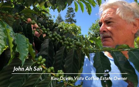 ハワイ カウコーヒー焙煎豆200g 0131-001-S06