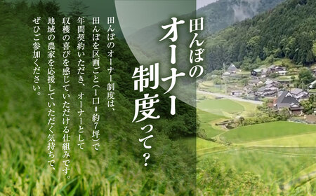 ＜令和8年10月中旬より発送！＞田んぼオーナーシップ 清雫 (1口分・玄米10kg・黒ムラサキ) ふるさと納税 福知山市 田んぼ オーナー オーナー制度 米 玄米 10kg 令和8年度産 先行 収穫 夜久野 京都 【fc-DB001-A】【合同会社夜久野清雫】