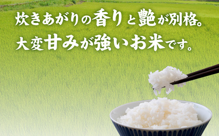 令和7年産 福井市産 コシヒカリ 3kg 無洗米 天然の山水で育てたお米【みやま米】 [A-168003]  / 無洗米