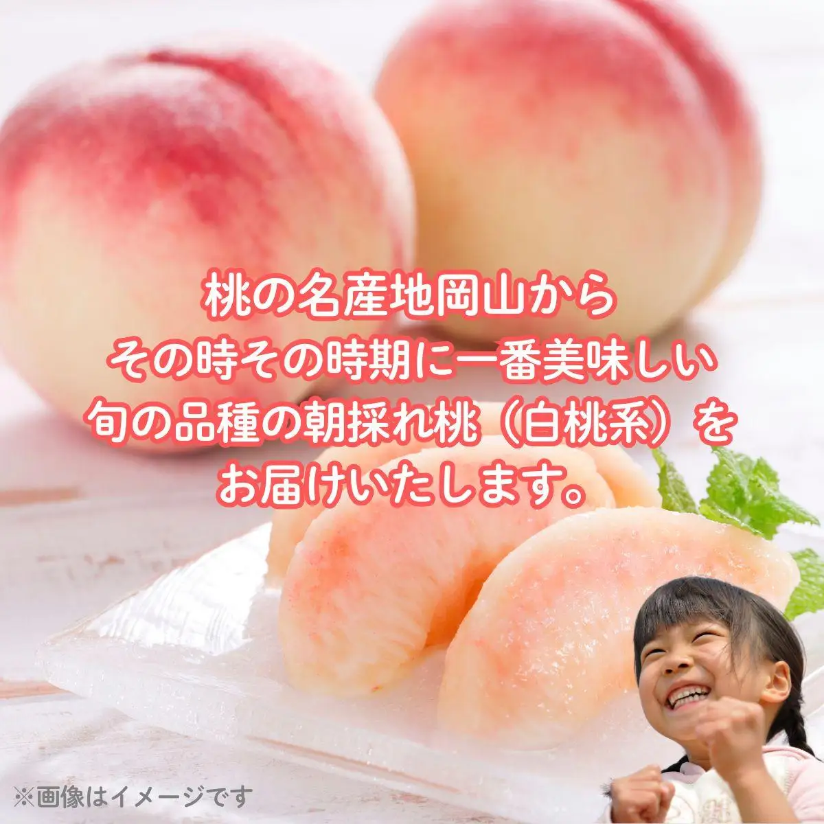 【2026年先行予約】白桃 1箱（約4kg 12～13玉）桃 もも モモ はくとう フルーツ 【026-a021】