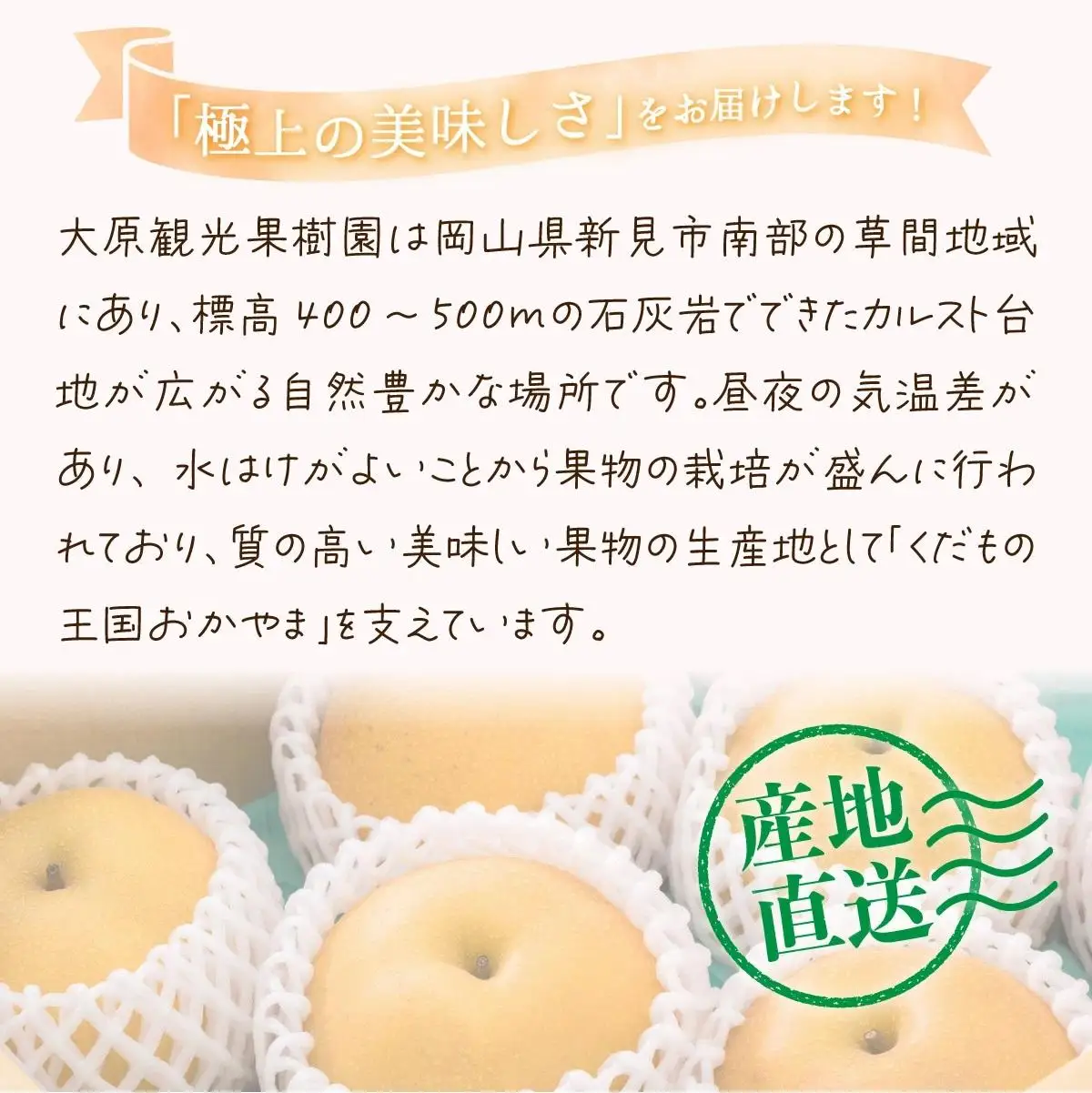 【2026年先行予約】［大原観光果樹園］岡山県産 旬の梨（豊水）（約4kg 10～12玉）【026-a022】