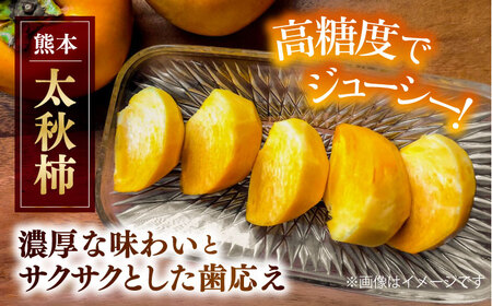 【先行予約】太秋柿 約2kg 柿 カキ フルーツ 果物 秋 【日本フルーツ株式会社】 [ZFJ021]