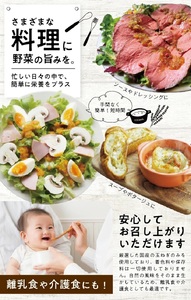 冷凍玉ねぎペースト1.0kg(500g×2袋) 冷凍便 ※離島発送不可 冷凍 たまねぎ 玉ねぎ 玉葱 野菜 野菜ペースト 離乳食 介護食 小分け ゆざ食彩工房 遊佐町 庄内 東北 [1432TN1000G]