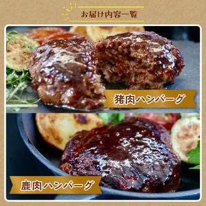 呉ジビエ味わいセット（ジビエが初めての方におすすめ） ku118-018-r