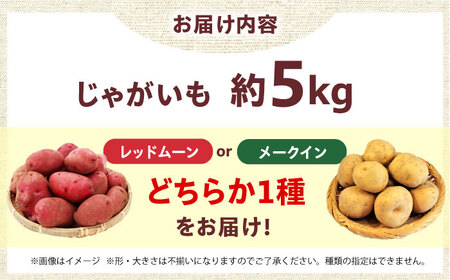 じゃがいも 5kg（6月頃発送予定） じゃがいも [AOCS024]