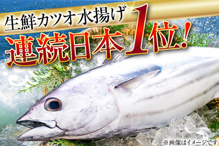 鰹 かつおたたき 1kg [熊栄産業 宮城県 気仙沼市 20565060]