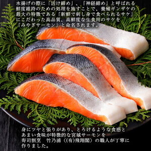 銀鮭焼き（5個セット）冷凍 さけ シャケ サケ 鮭 銀ざけ 銀ザケ 魚 お魚 焼き物  お魚 寿司 割烹