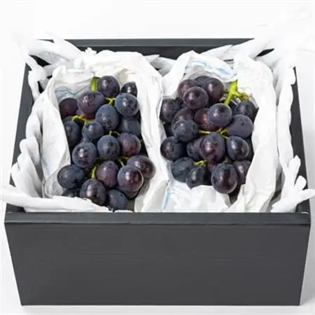福岡県産　巨峰　1kg(野口農場)_果物・フルーツ ぶどう・マスカット  ブドウ 葡萄 _【配送不可地域：離島】【1529095】