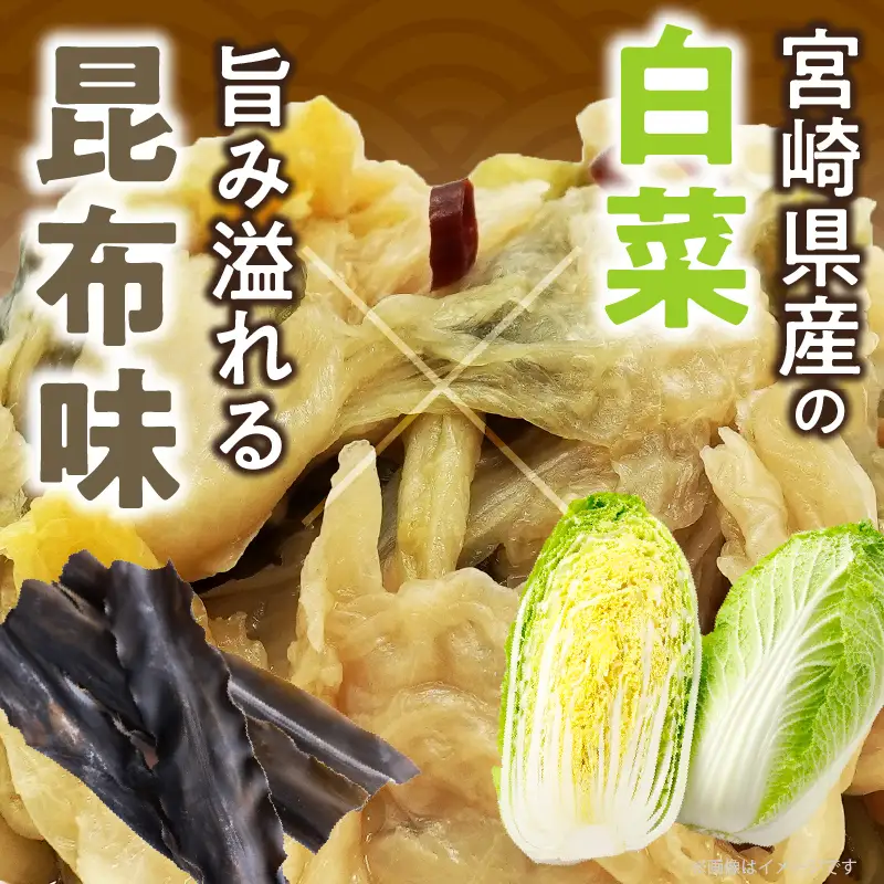 ＼ポスト投函／白菜古漬け（昆布味） 計1袋 (100g) 漬物 おかず 野菜 加工品 国産_T025-0235