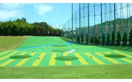 大阪府交野市 星田ゴルフセンター ICカード 10000P券 (10000円分の練習ボールと交換いただけます) [0199]