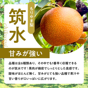 びわこもりやまフルーツランド　もりやま梨　筑水ご自宅用 CV-0007