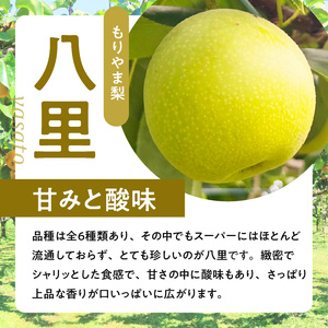びわこもりやまフルーツランド　もりやま梨　八里ご自宅用 CV-0008