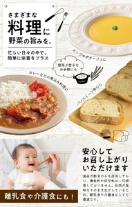 冷凍野菜ペーストアラカルト6種 ほうれん草 さつまいも 玉ねぎ パプリカ にんじん かぼちゃ 各500g 計3.0kg 冷凍便 ※離島発送不可 冷凍 野菜 野菜ペースト 離乳食 介護食 小分け お菓子作り アラカルト セット 詰め合わせ ゆざ食彩工房 遊佐町 庄内 [1438AL3000G]