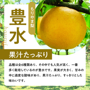 びわこもりやまフルーツランド  もりやま梨　豊水ご自宅用 CV-0009