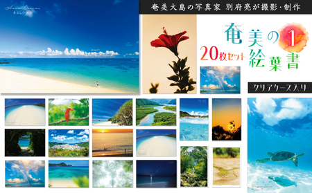 奄美 の 絵葉書 20枚 セット 1（ クリアケース 入り ） A021-040 雑貨 絵はがき ハガキ はがき 写真家 奄美絵葉書 花鳥風月 クリアケース付き 奄美の風景 メッセージ 趣味 挨拶カード 季節 安田商店 ふるさと納税 鹿児島 奄美市 おすすめ ランキング プレゼント ギフト