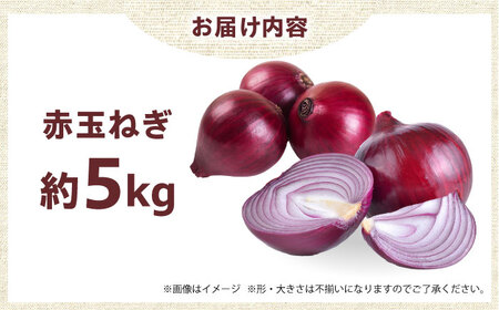 赤玉ねぎ 5kg [AOCS023]