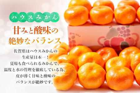 【先行受付 令和8年6月より発送開始】佐賀県産『ハウスみかん』約2500g(H108115)