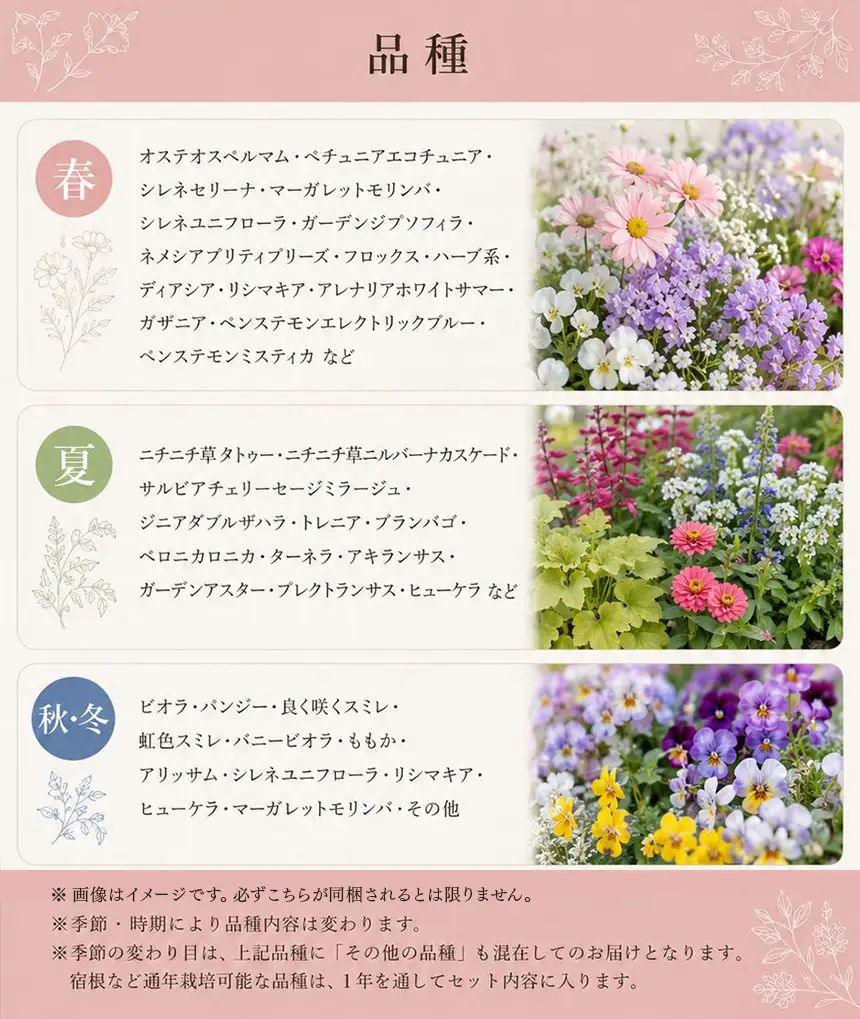 季節の花苗24苗セット珍しい宿根と季節の花苗 | 季節 お花 フラワー ガーデニング 苗 兵庫県 上郡町