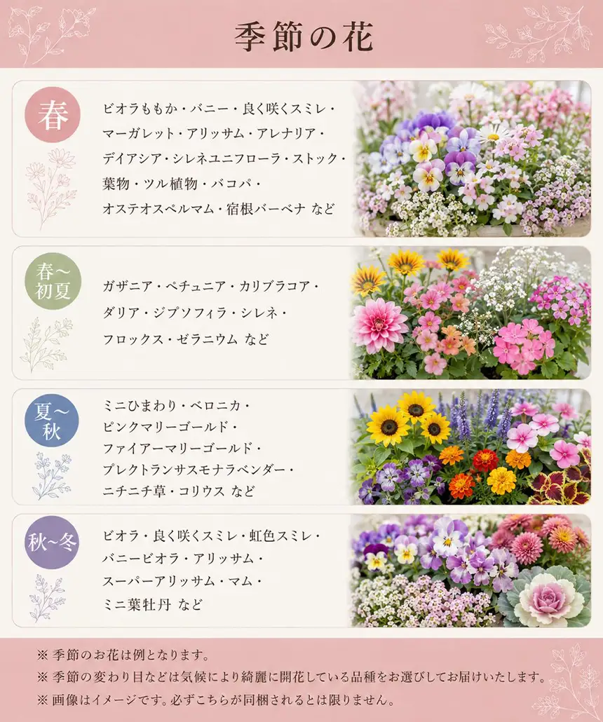 お花一杯バスケット寄せ植え Lサイズ(35cm程度) 季節の寄せ植え | お花 フラワー バスケット ガーデニング 寄せ植え 兵庫県 上郡町