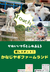 ペット用ヤギミルク 200cc×1P | ペット用品 ミルク 牛乳 健康 栄養補給 滋養強壮 兵庫県 上郡町