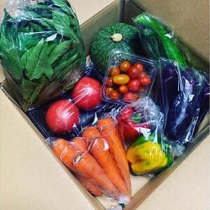 三重県鈴鹿市産　旬の野菜セット　大満足10種類