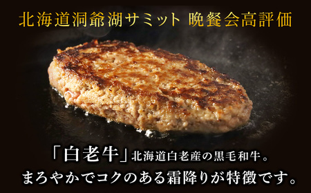 牛の里ビーフハンバーグ（110g×10個） 特製ソース（10袋） の詰合せ AG052