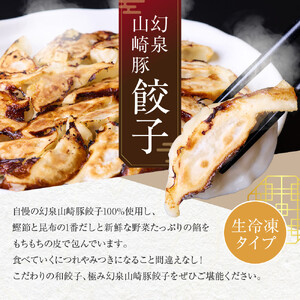 【ヤマザキファーム】老舗餃子専門店が作る 幻泉山崎豚餃子(20個入り×4箱)
