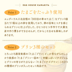 ＜リピート多数!＞濃厚たまごプリン3種セット